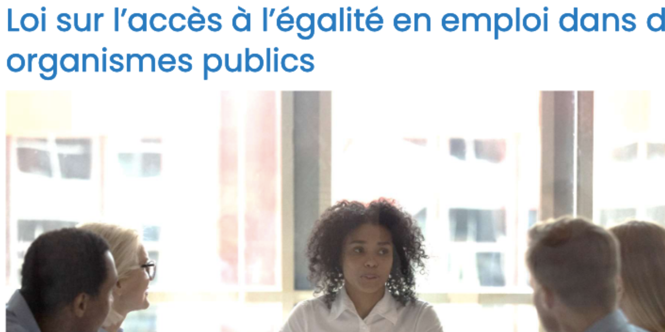 Rapport annuel sur les minorités visibles