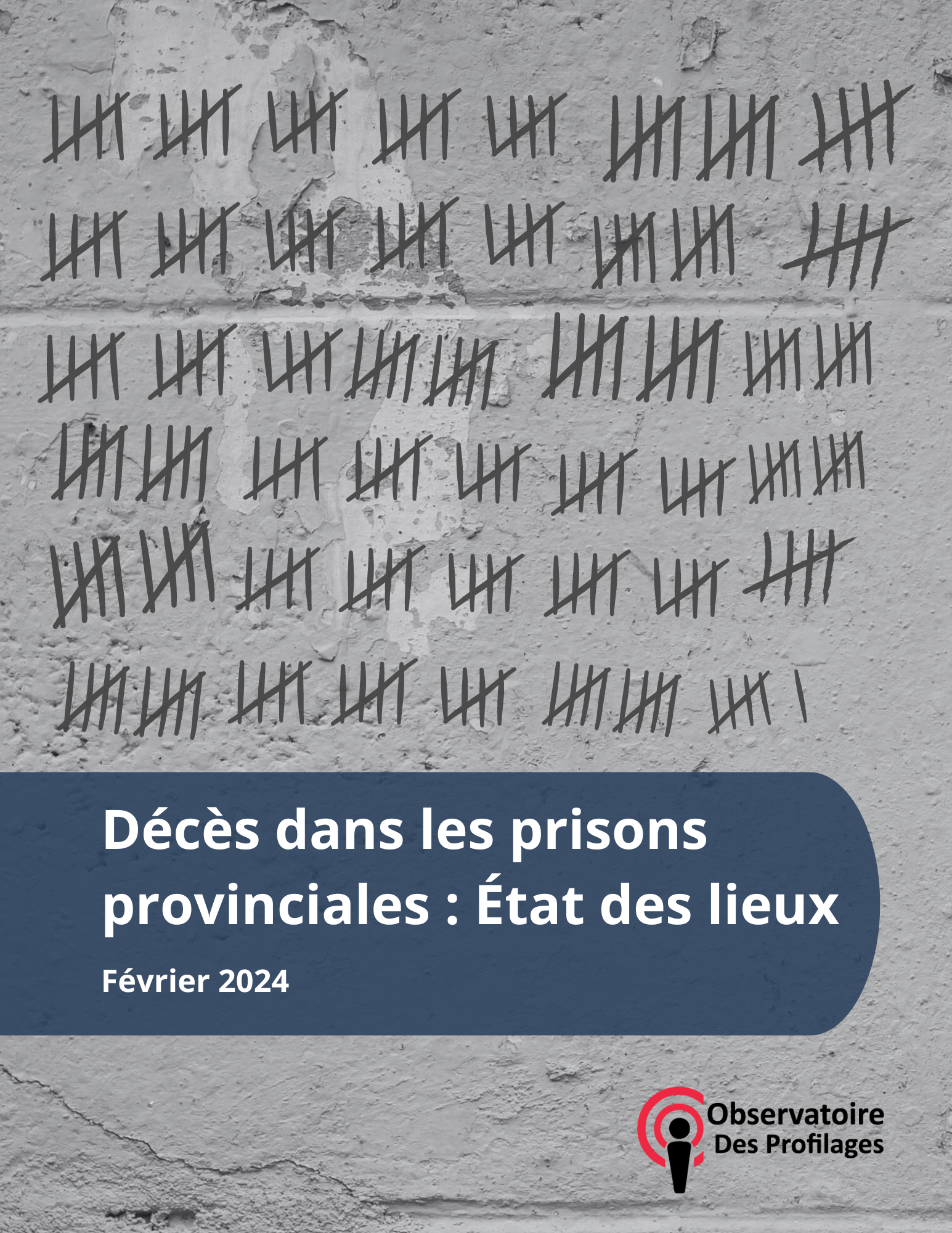 Décès dans les prisons provinciales : État des lieux